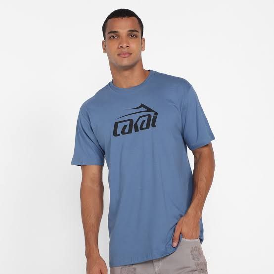 Camiseta Lakai Limited Basic Azul
