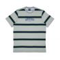 Camiseta Santa Cruz Skateboards Especial Collegiate SC Stripe - Cinza Mescla