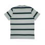 Camiseta Santa Cruz Skateboards Especial Collegiate SC Stripe - Cinza Mescla