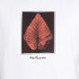 Camiseta Volcom Stone Frond