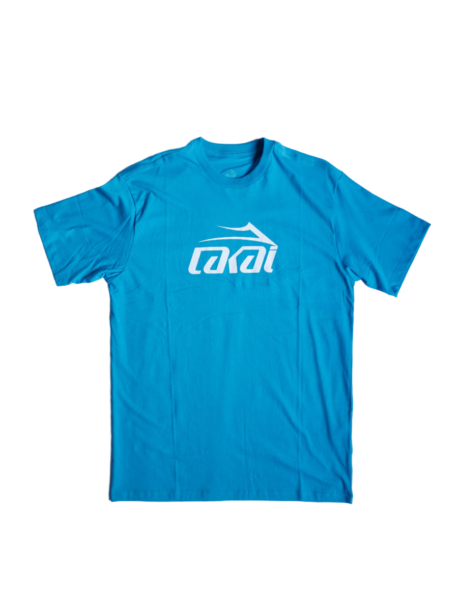 Camiseta Lakai Limited Footwear Basic Azul Turquesa