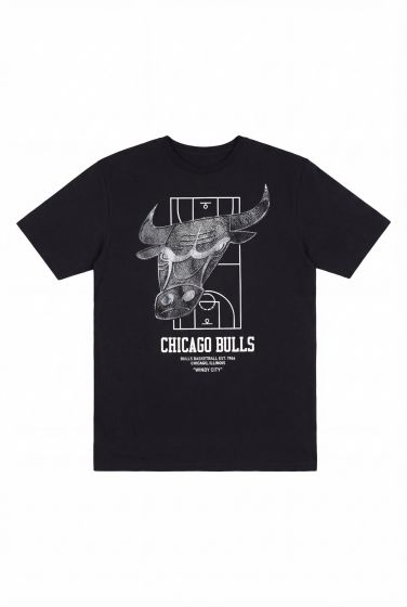 Camiseta NBA Chicago Bulls Iron